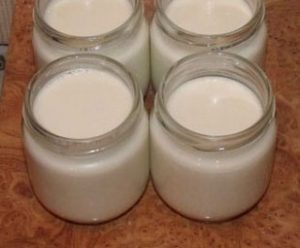 الزبادي في صانع الزبادي