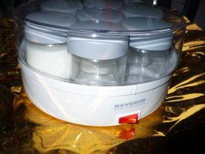 الزبادي في صانع الزبادي