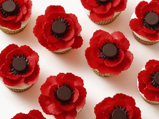 كب كيك الصور