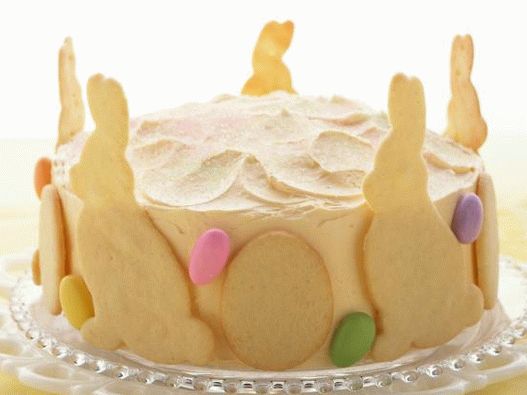 فوتو ليمون - توت العليق كيك