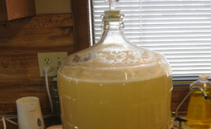 عسل ونبيذ التفاح