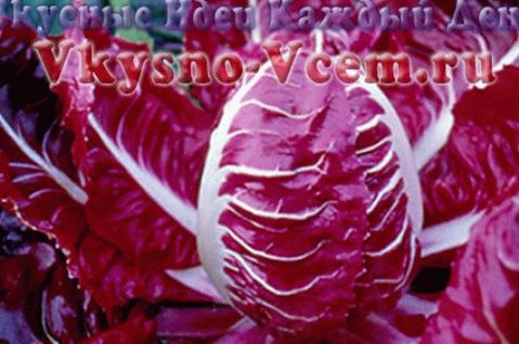 خصائص مفيدة من سلطة raddichio