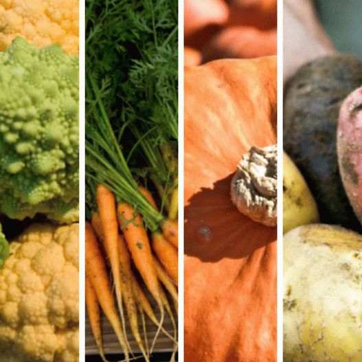 صور وصفات من الخضروات الطازجة الخريف