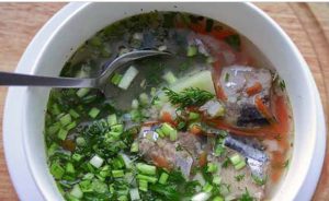 حساء السمك بكالوريوس