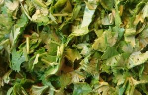 Satsebel في الجورجية