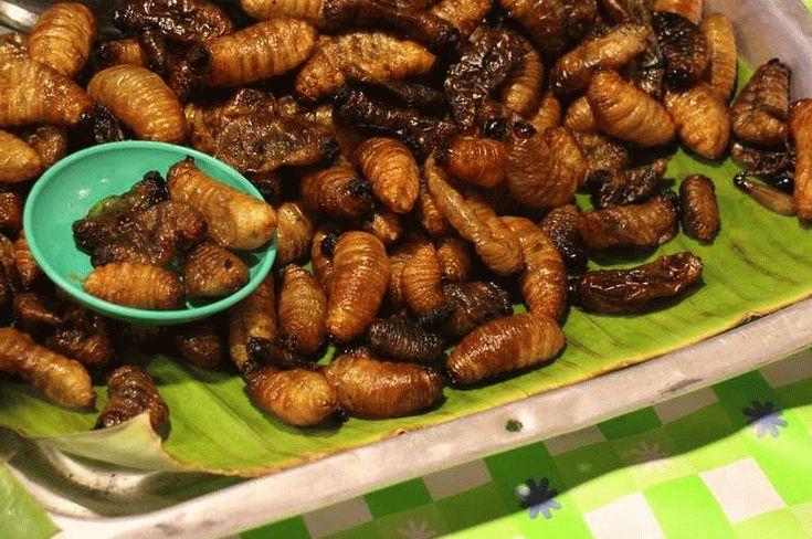 تاي الشارع الغذاء