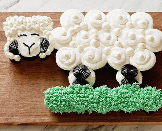 فوتو كب كيك