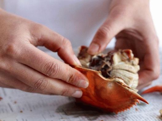 تمزيق قذيفة تمزيق قذيفة