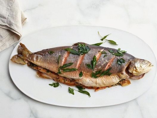 صورة للطبق - تشار القطب الشمالي تشار تشار مع الخضر